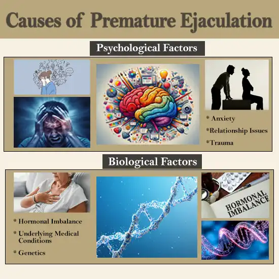 Causes of Premature Ejaculation​